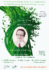 Equations aux derivees partielles et applications, Journee en l’honneur de Jerry Goldstein